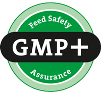 GMP